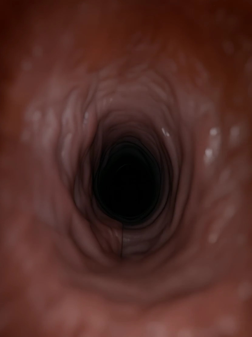 anus contracting, zoom in on her asshole, zooms up-close and inspects asshole…